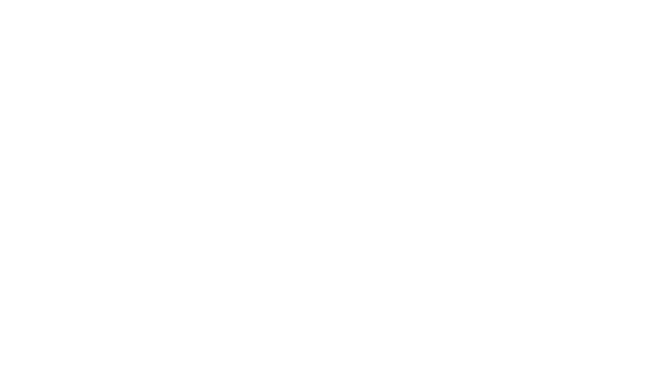 Dagerrfly